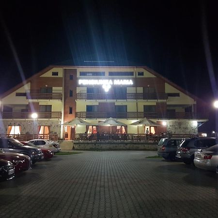 Pensiunea Maria Hotel Gilau Exterior photo