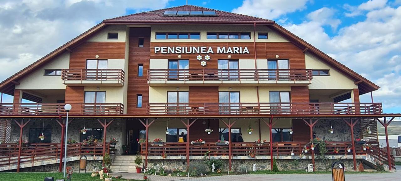 Pensiunea Maria Hotel Gilau Exterior photo